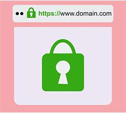 SSL enabled with brand