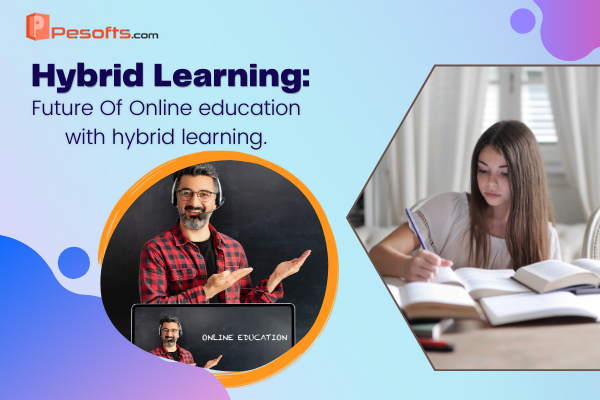 Hybrid Learning Future Of Online education with hybrid learning